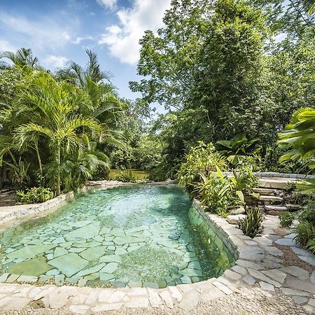 Hotel Boutique Quinta Chanabnal Palenque Εξωτερικό φωτογραφία