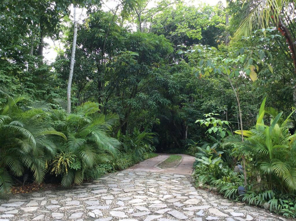 Hotel Boutique Quinta Chanabnal Palenque Εξωτερικό φωτογραφία